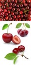 Cherry, fruit, food, red, sweet, cherries, fresh, Kirsche, Obst, Lebensmittel, rot, sÃÂ¼ÃÅ¸, frisch, Royalty Free Stock Photo